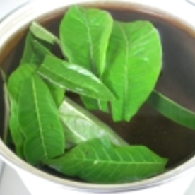 葉 茶 作り方 びわ の びわの葉茶の効果・作り方・副作用・カフェインがあるのか・味